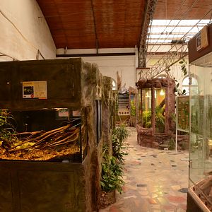 Reptile house - balcony