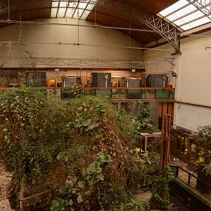 Reptile house - general view