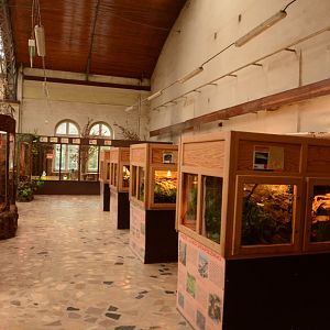 Reptile house - 2nd balcony