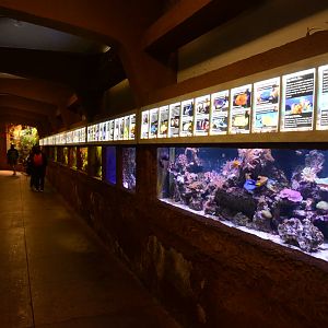 Old aquarium building