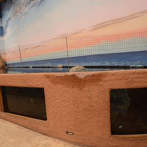 Afrykarium -  Red sea tank