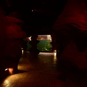 Afrykarium - corridor to hippos