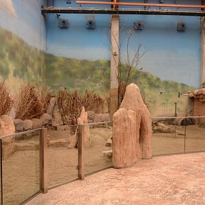 Afrykarium - Aardvark enclosure