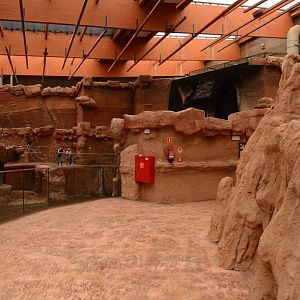 Afrykarium - East African hall