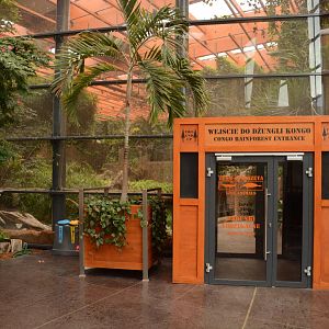 Afrykarium - entrance to rainforest section