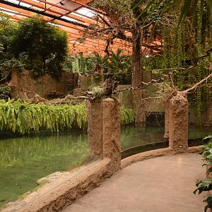 Afrykarium - Nile Crocodile enclosure