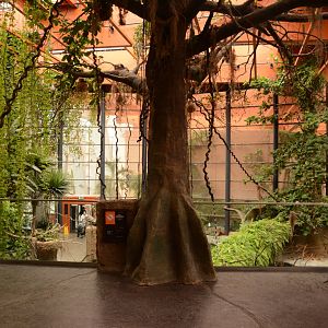 Afrykarium - Rainforest section