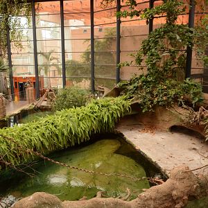 Afrykarium - Nile Crocodile enclosure