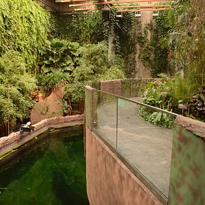 Afrykarium - Manatee tank from above