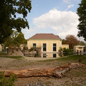renovated Common Hippo enclosure