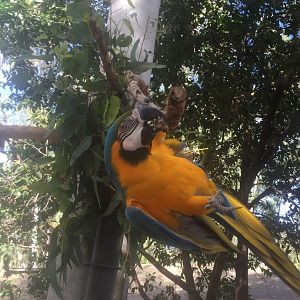 Too much Stretching!!!