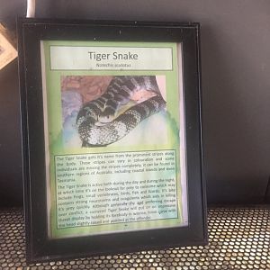 Tiger snake signage
