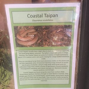 Coastal Taipan signage