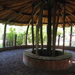 Emu, Red kangaroo and Swamp wallaby viewing area, 2020-07-21