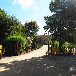 Access to the bonobo viewing areas and the bonobo house, 2020-07-21