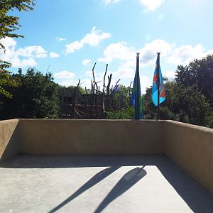 New viewing bonobo viewing area, 2020-07-21