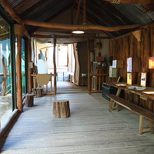 Visitor area bonobo house - Fist viewing area, 2020-07-21