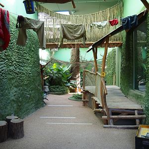 Bonobo house visitor area - Second viewing area, 2020-07-21