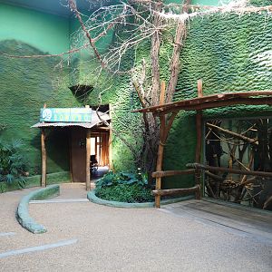 Bonobo house visitor area - Third viewing area, 2020-07-21