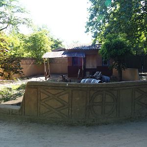 Cape porcupine exhibit, 2020-07-21