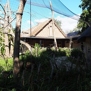 Part of Ring-tailed lemur and Black lemur walk-through exhibit, 2020-07-21