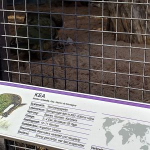 Kea signage