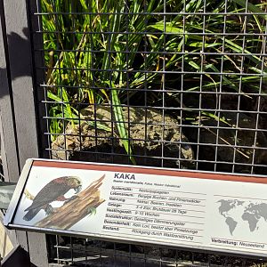 Kaka Signage