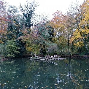 Tiergarten Wels: Great white pelican exhibit