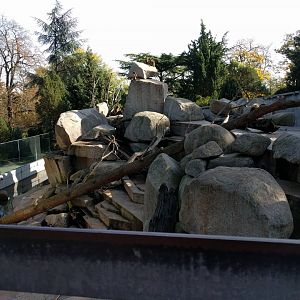 African mountain Enclosure