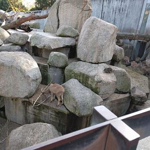 African mountains Overview