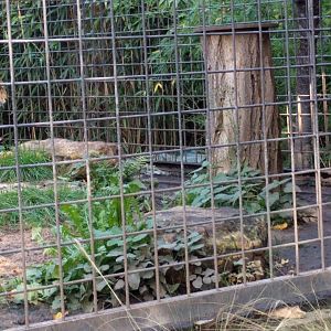 First Part of Jaguar Enclosure