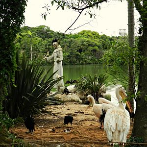 Saint Franci's statue in the pelican/waterfowl exhibit - Zoo São Paulo