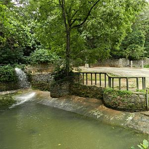 Common hipopotamus exhibit - Zoo São Paulo