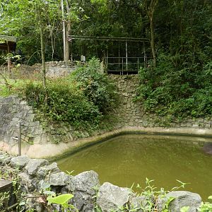 second common hipopotamus exhibit - Zoo São Paulo
