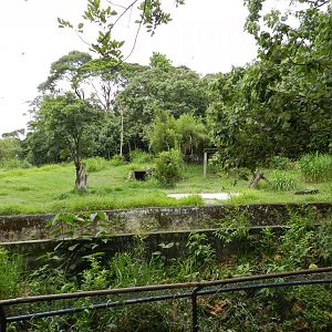 Former american black bear exhibit - Zoo São Paulo