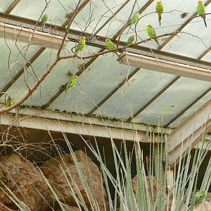 Desert House, October 2020