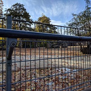 Somali wild ass Enclosure