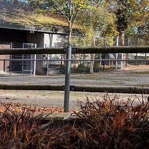 East African Savannah Enclosure