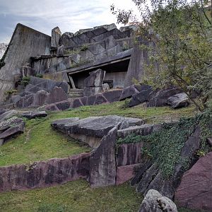 Rocky mountain goat Enclosure