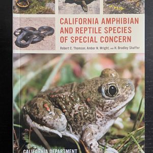 California Amphibian and Reptile Species of Special Concern