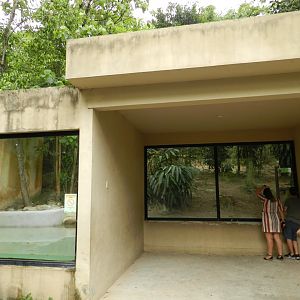 Maned wolf exhibit - Zoo São Paulo