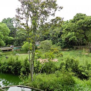 African plain exhibit - Zoo São Paulo