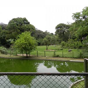African plain exhibit - Zoo São Paulo