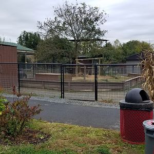 Roer's Zoofari - Patagonian Mara exhibit (formerly rabbits)