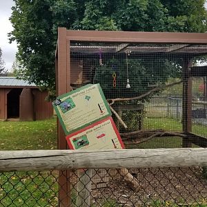 Roer's Zoofari - Cockatoo, red-footed tortoise, sulcata tortoise