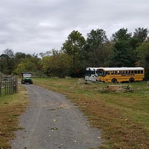 Roer's Zoofari - unused area (formerly ponies, pigs, addax, anoa, etc)