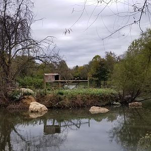 Roer's Zoofari - Unused (?) primate island