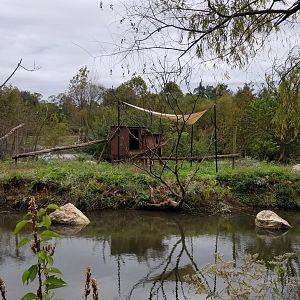 Roer's Zoofari - Ringtailed Lemur island