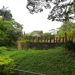 White rhino exhibit - Zoo São Paulo