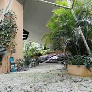 Amphitheater - Zoo São Paulo